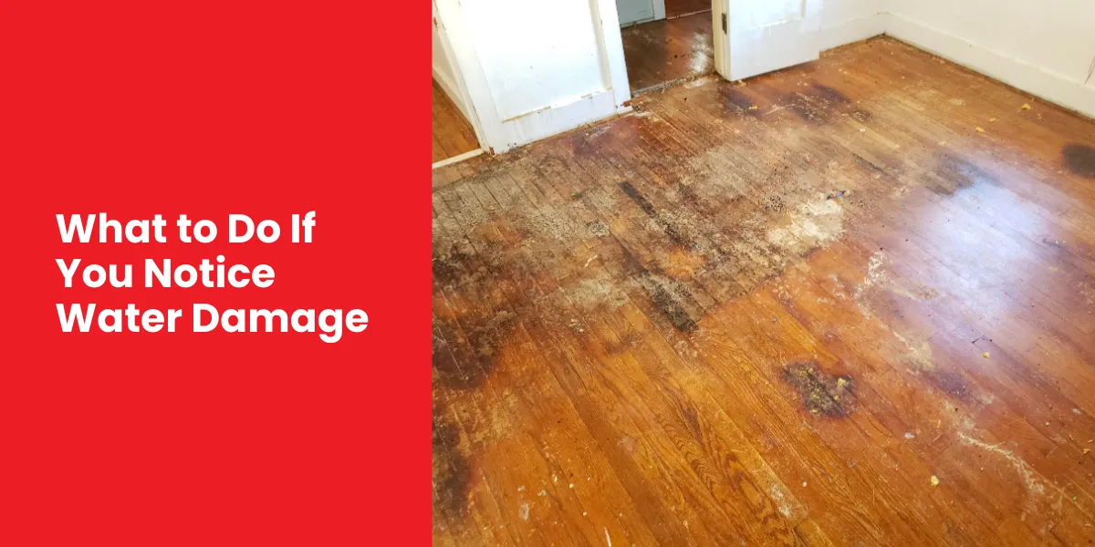 What to Do If You Notice Water Damage What to Do If You Notice Water Damage
