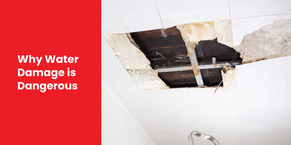 Why Water Damage is Dangerous Why Water Damage is Dangerous