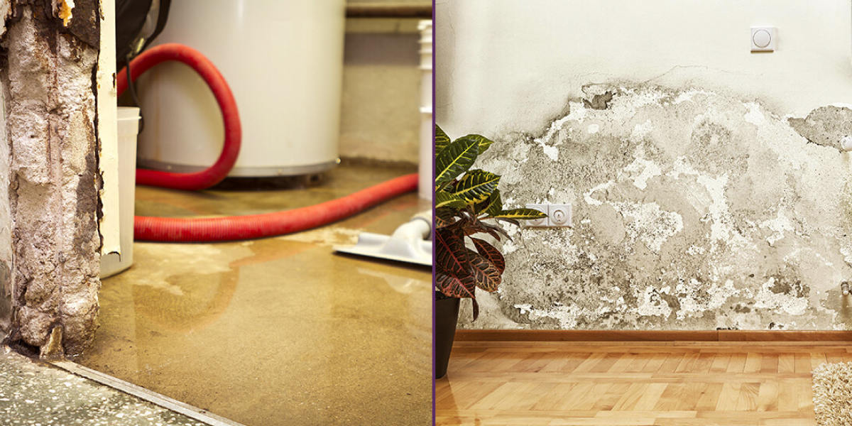 Blackwater Spreads Bacteria & Viruses