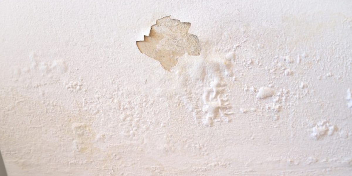 Mold on Drywall or Plaster