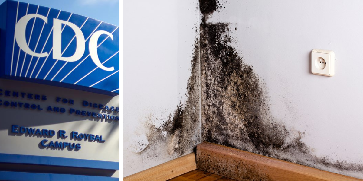 What the EPA and CDC Say (USA Guidelines)