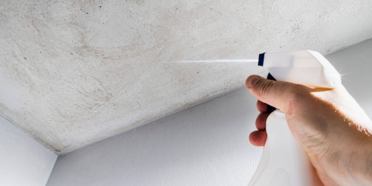 How to get rid of mold in bathroom ceiling