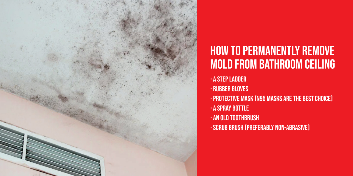 How to permanently remove mold from bathroom ceiling