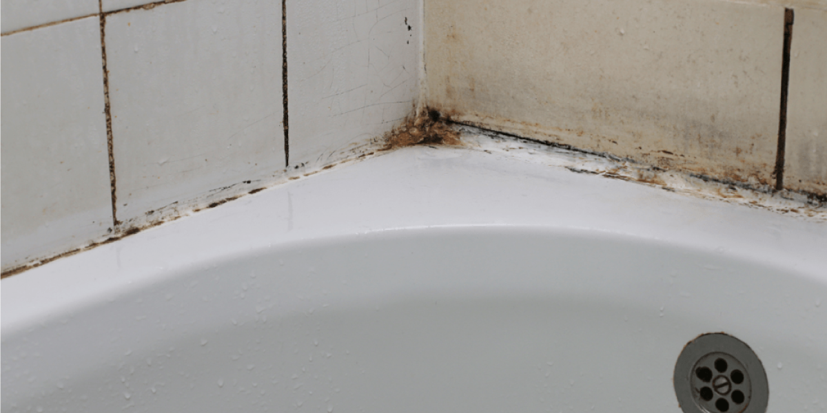 How to prevent shower caulking mold