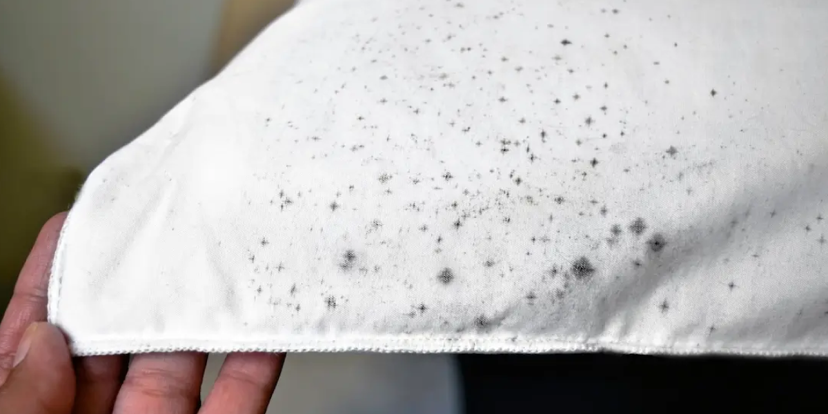 How to remove mold from clothing