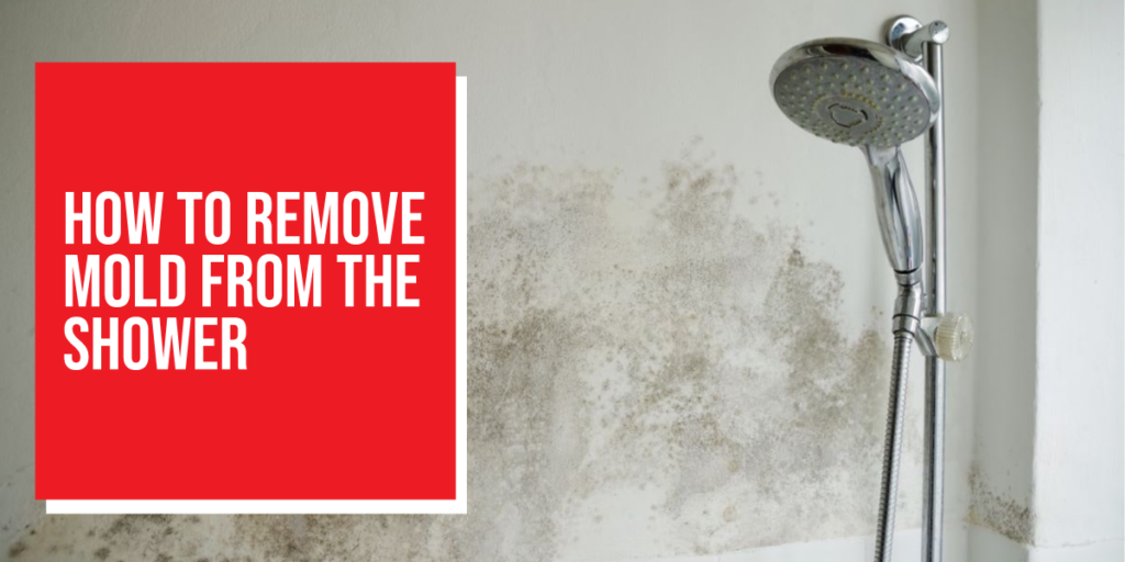 how to remove mold from shower
